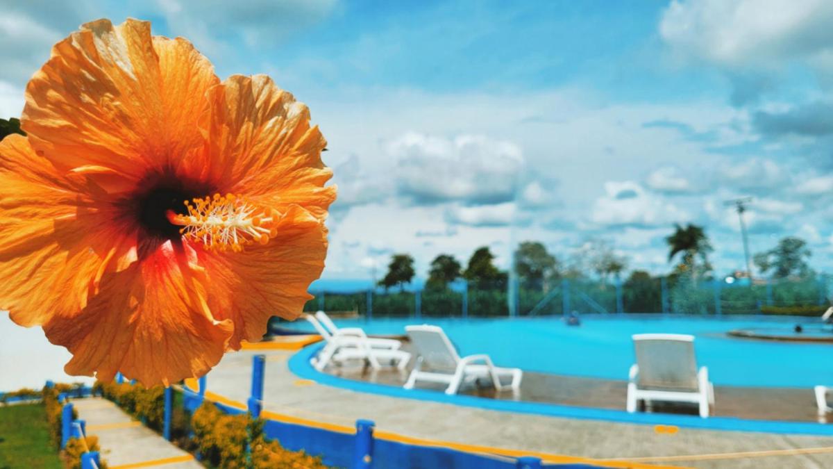 APARTAMENTO en el QUINDÍO cerca al PARQUE DEL CAFÉ