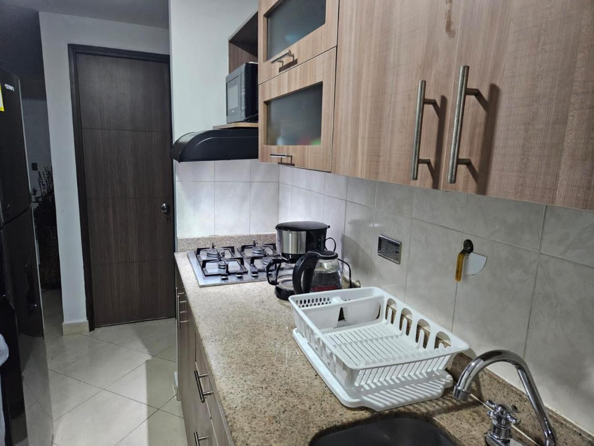 APARTAMENTO CENTRAL (PLAZA DE FLORES)