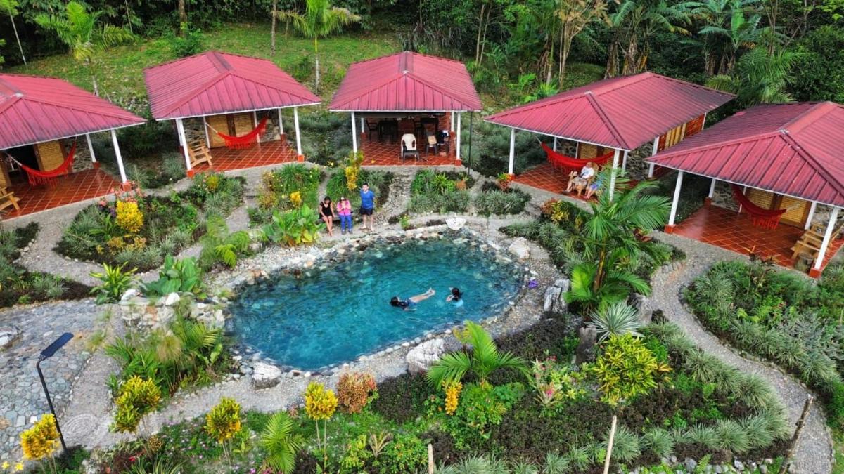 AulaViva Tropical