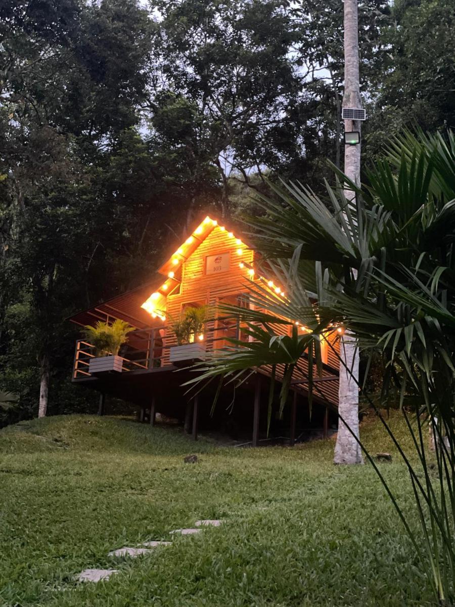 Cabañas Wilú