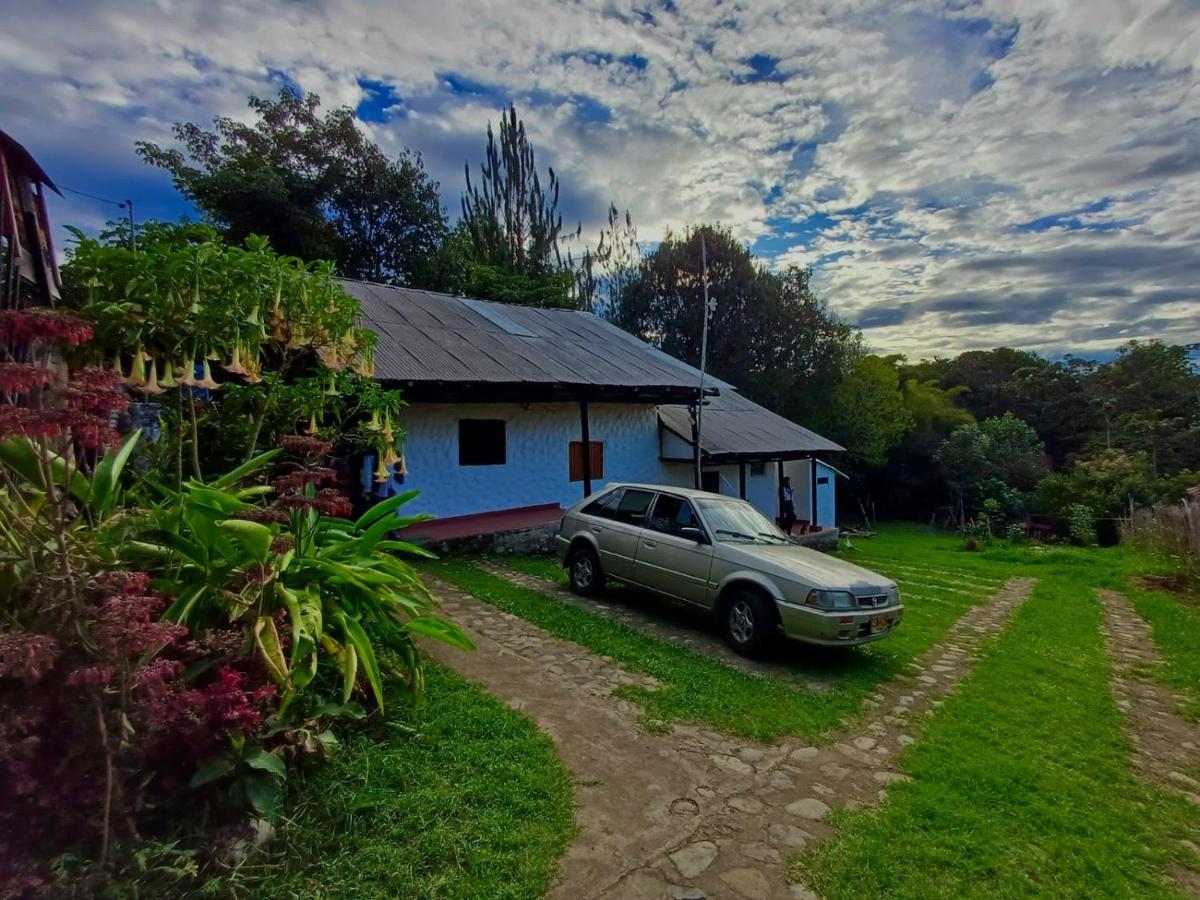 Casa Annunakis