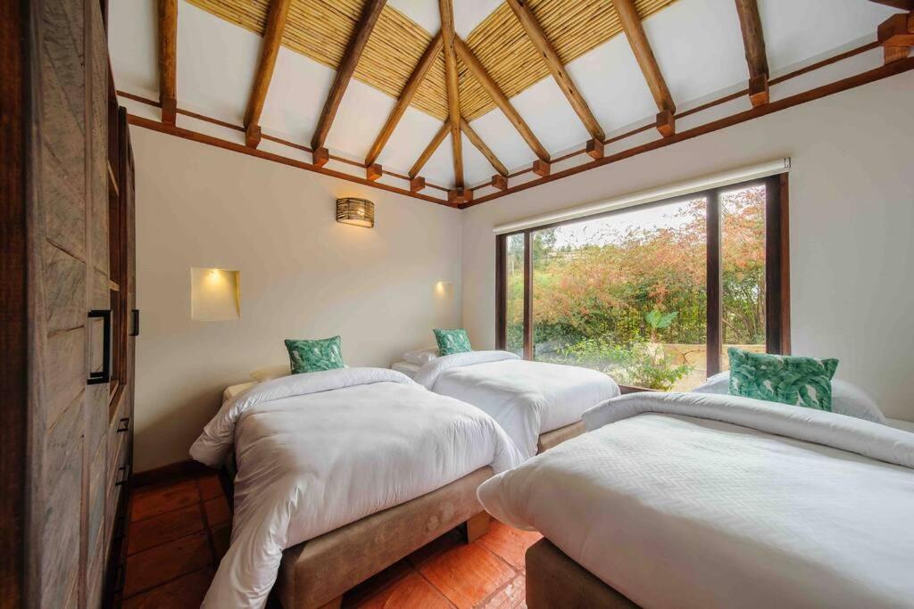 Casa de las Flores- Buganvilias