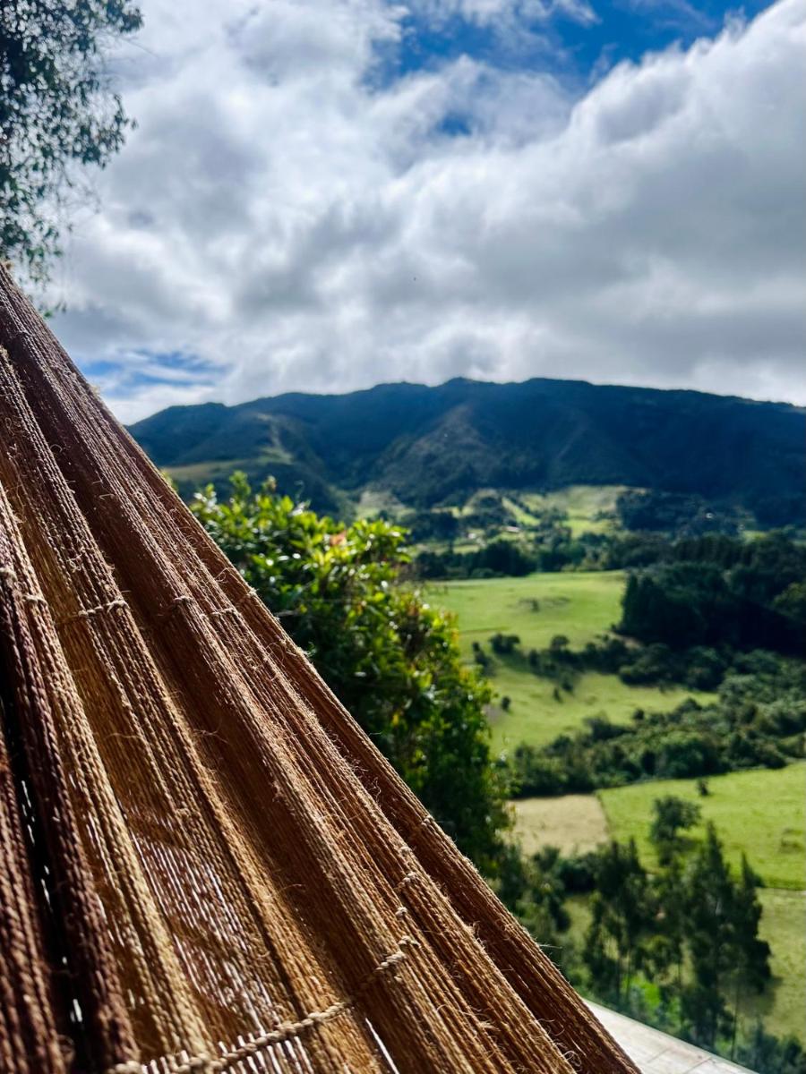 Casa Nido de Colibrí
