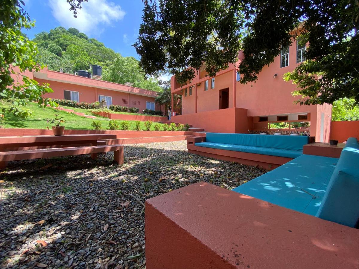 Color Hostel Palomino