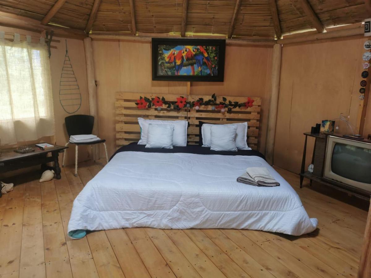 Eco-cabaña piemonte