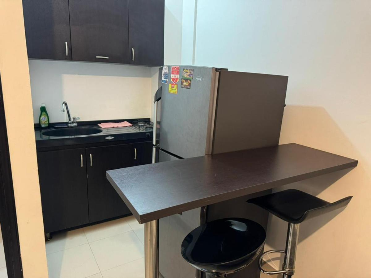 Estudio economico sur 205