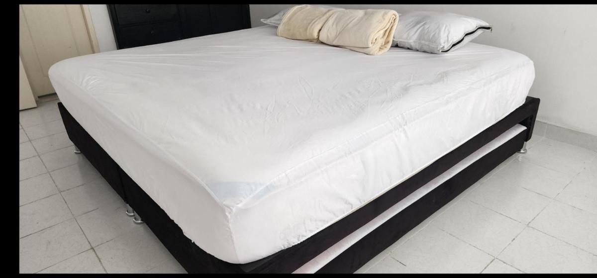 Excelente Apartamento Confortable, Central, Bonito y Económico