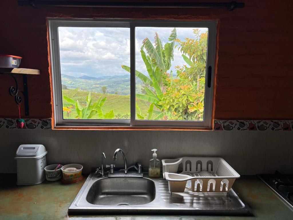 Finca Aguadalupe, Lago Calima
