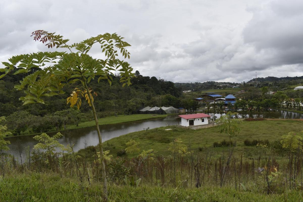 Finca el Manantial Isnos