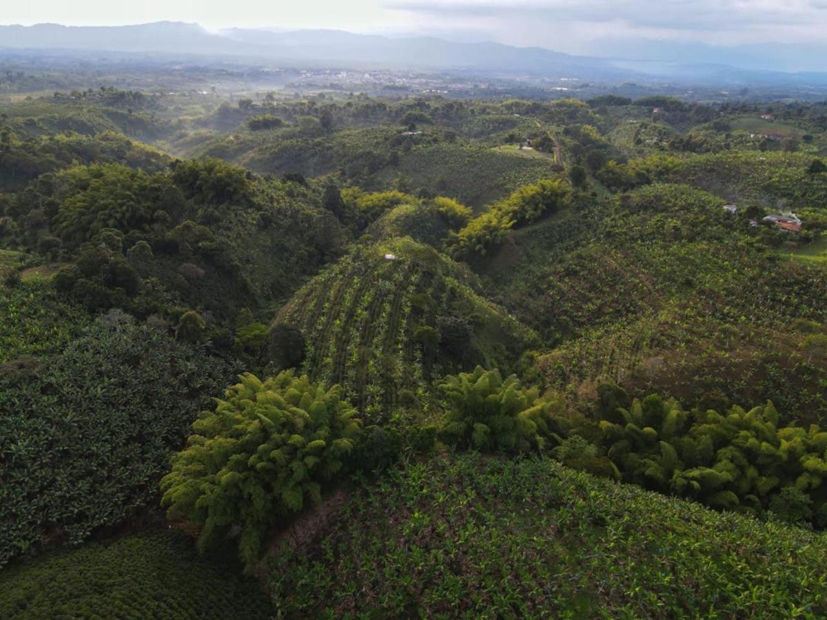Finca la castellana
