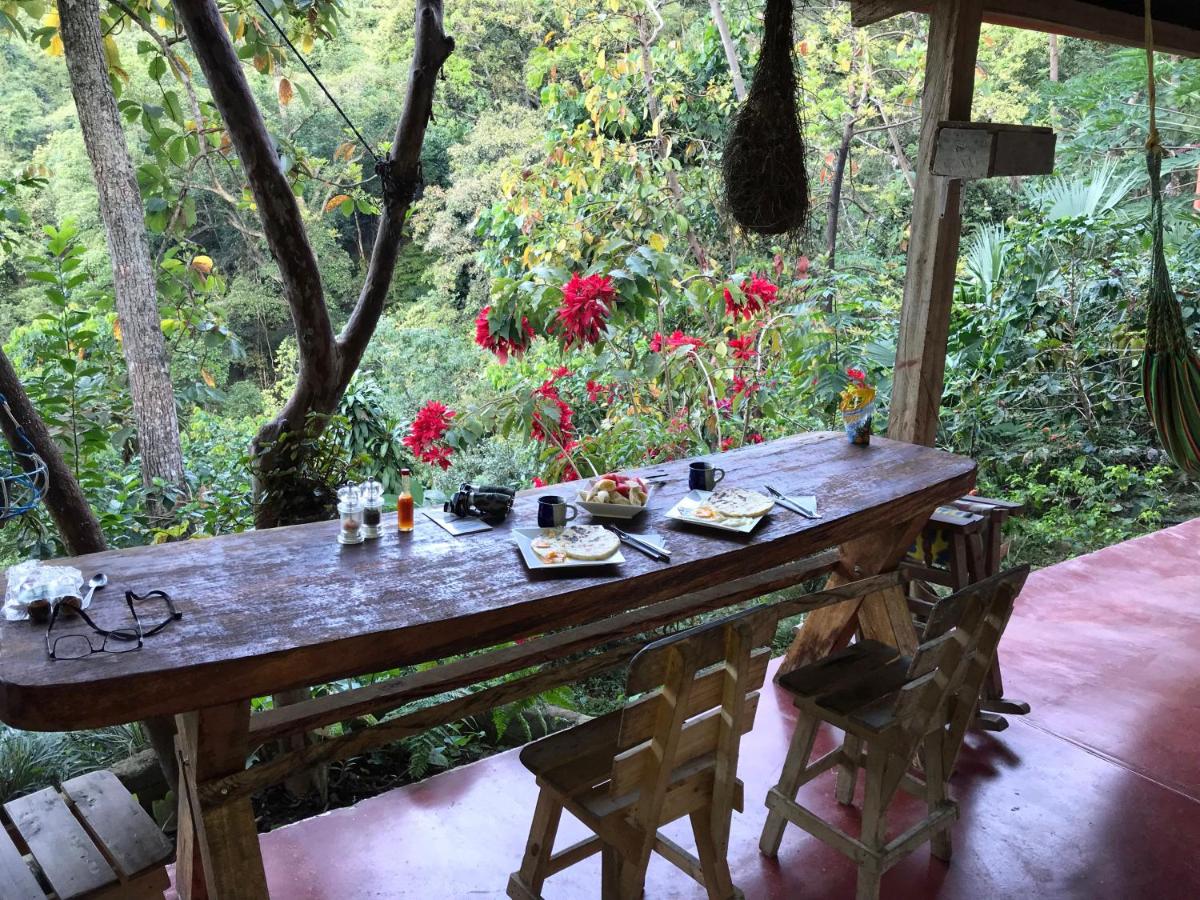 Finca San Rafael - Cafe y Cacao