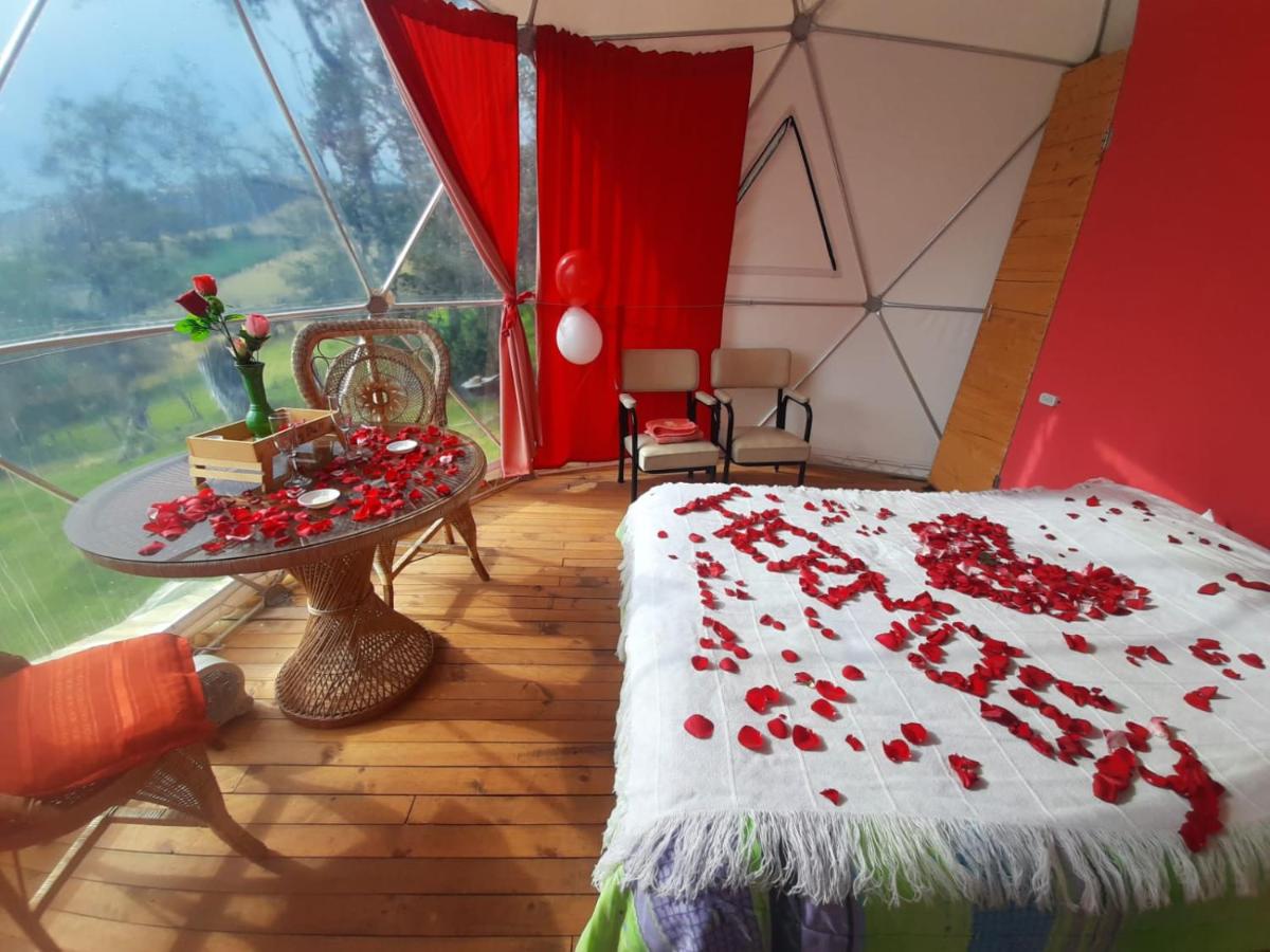 Glamping Mi Casita