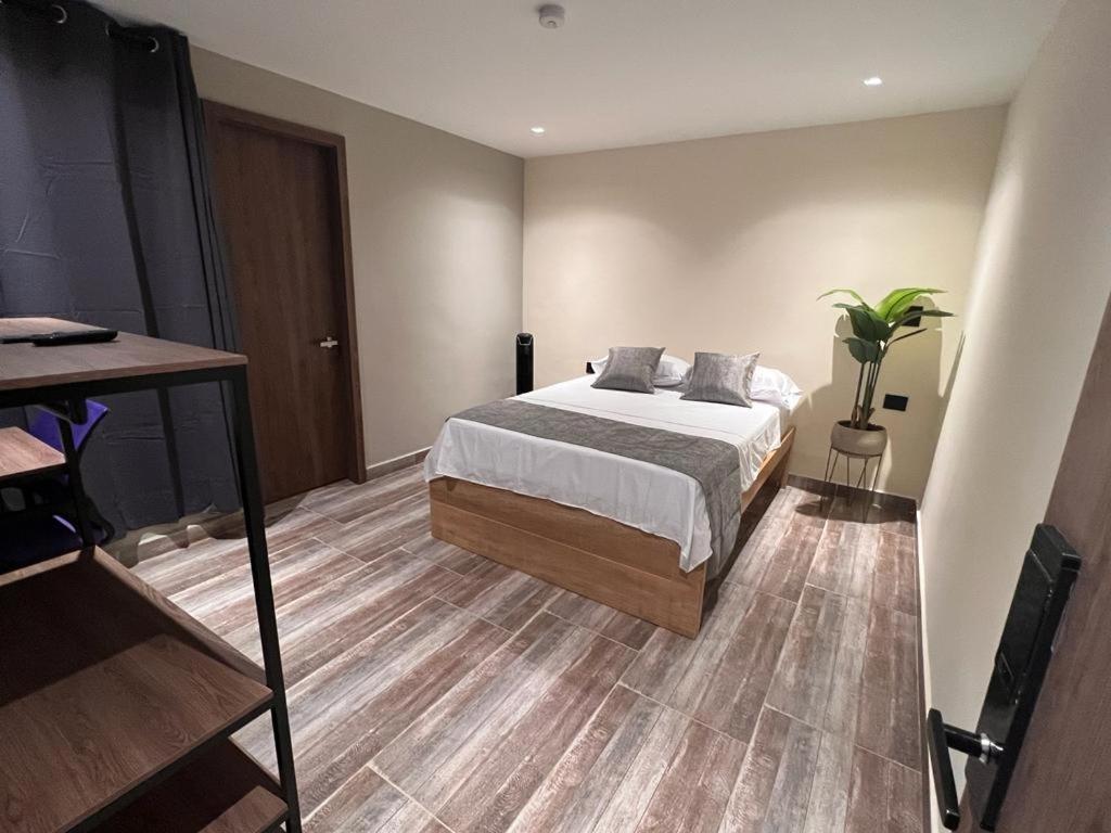 Indigo Hostal