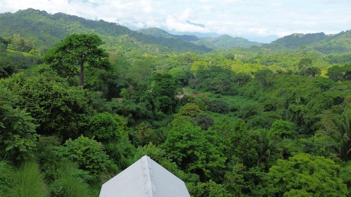 La Mona Eco Cabins