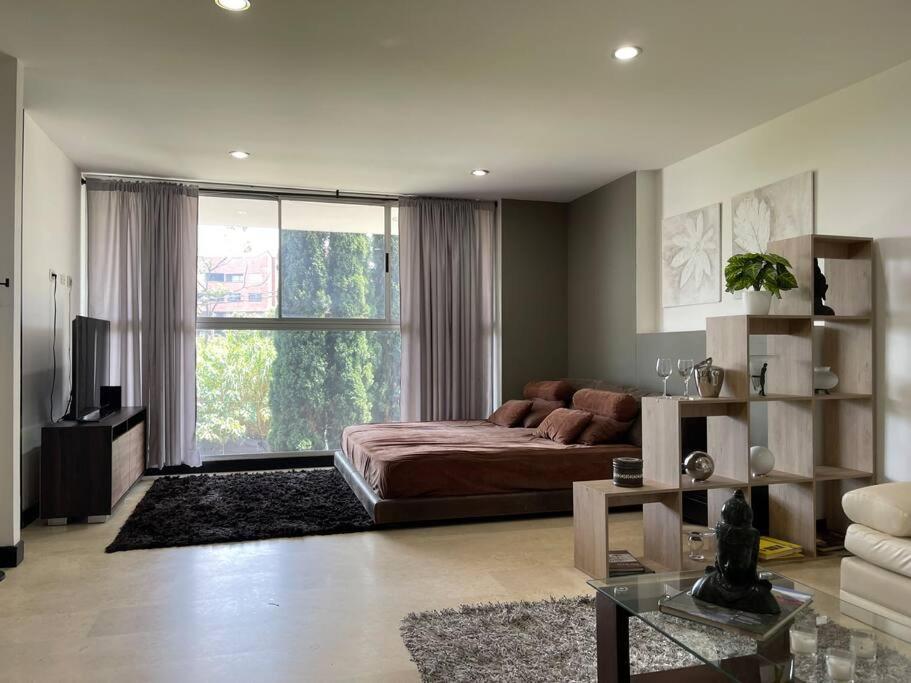 Loft Moderno Elegancia Natural Deluxe