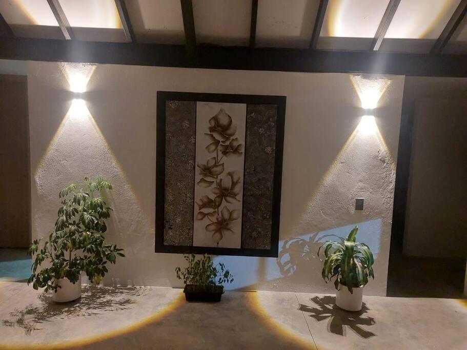 Naturaleza y las mejores fotos en Nordika House!