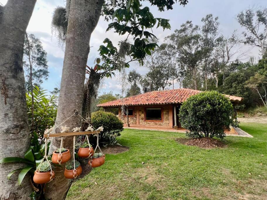 Pancha Mama Campestre - Cabaña “El Escondite”