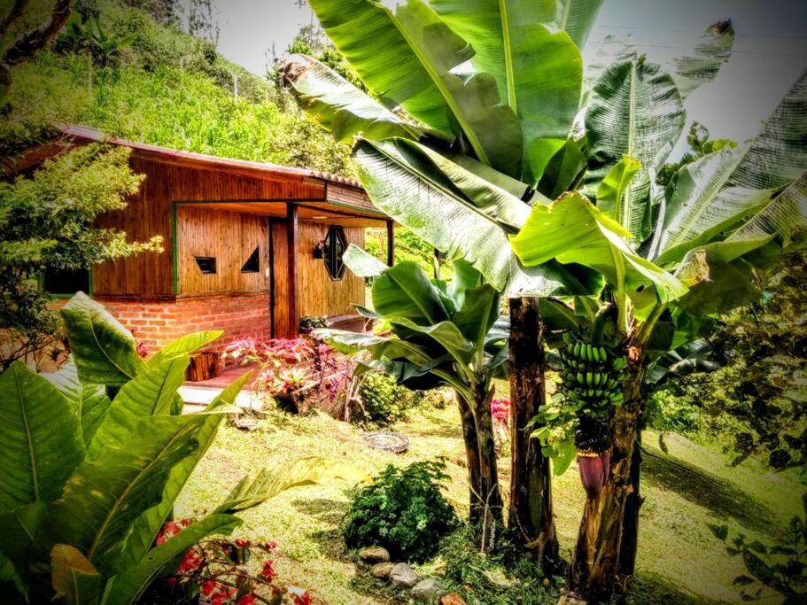 Tesorito House en las Montañas del Quindío