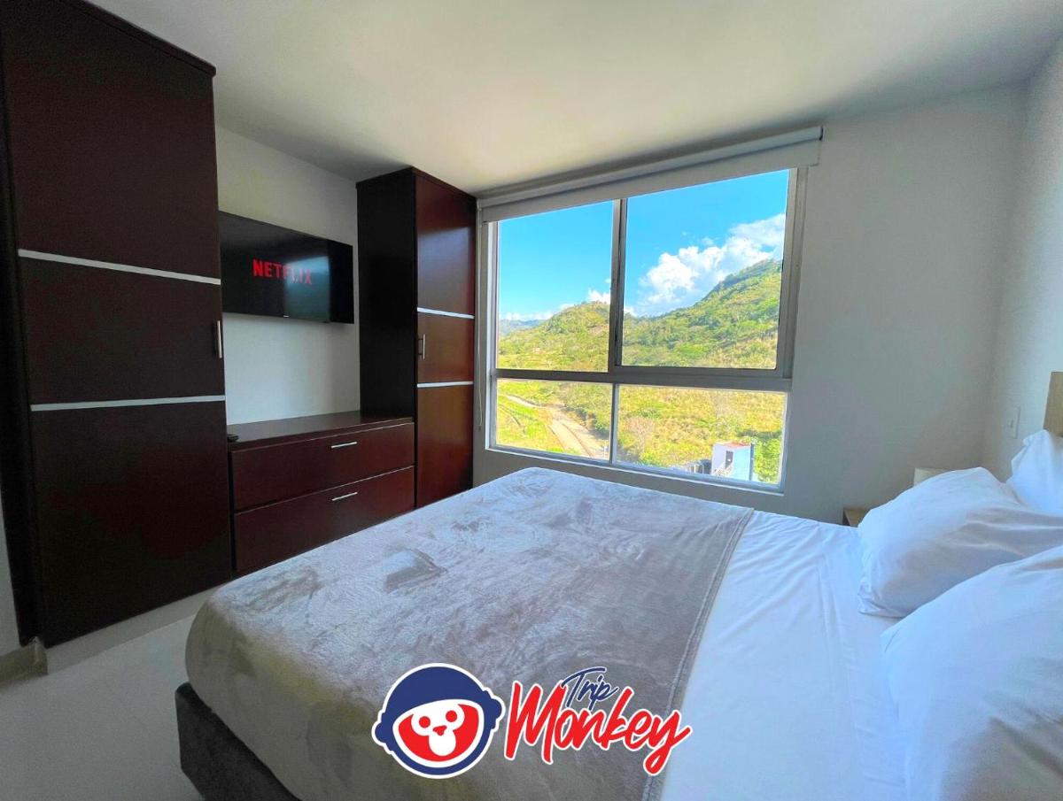 Trip Monkey Apartments