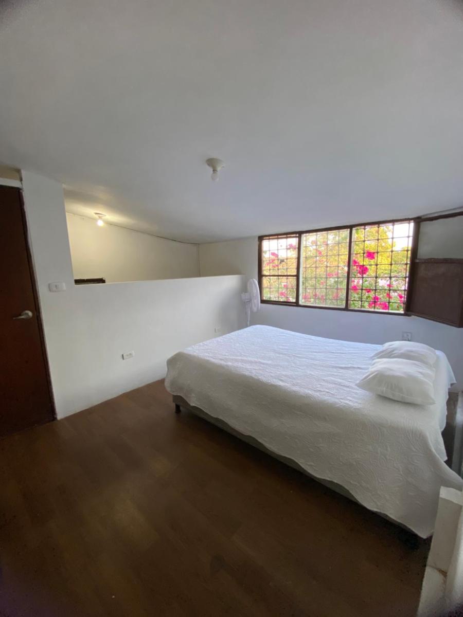 VEGAN ROOM