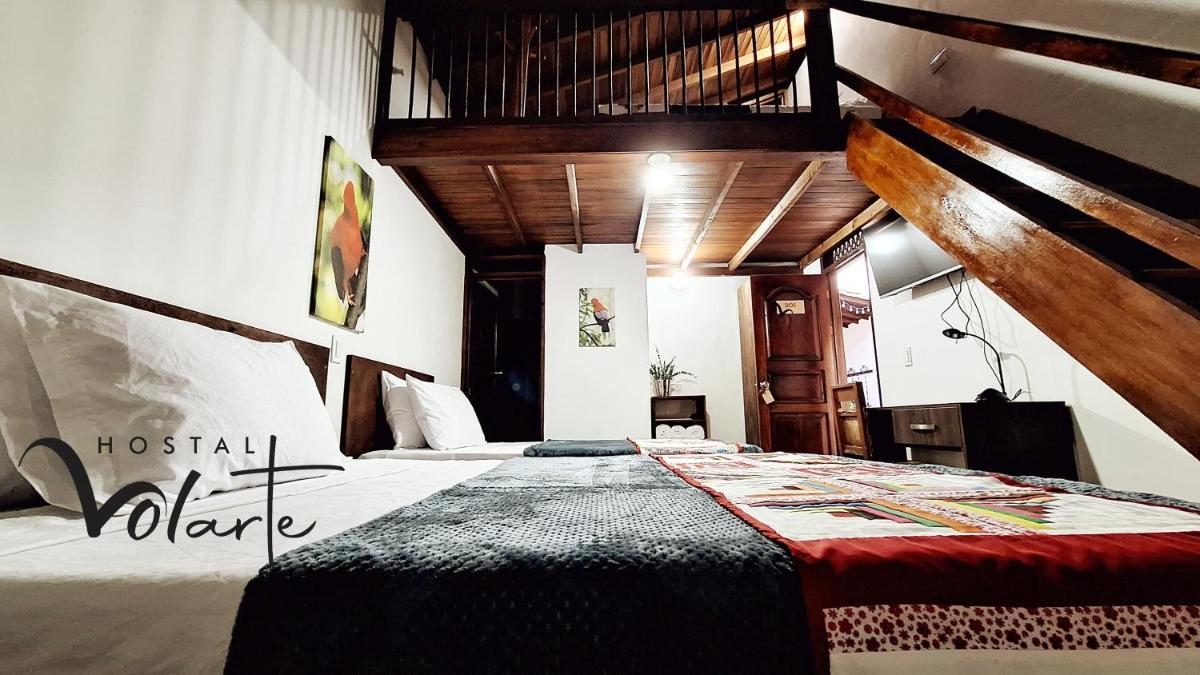 Volarte Hostal